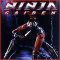 Ninja Gaiden